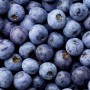 Eliquide Saveur Wild Blueberry, Pink Spot Vapors
