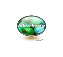 Eliquide Saveur SILVERBERRY , House of Liquid