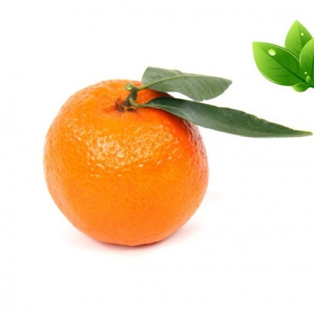 Eliquide Goût Clementine, Alfaliquid