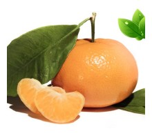 Eliquide Goût Mandarine, Alfaliquid