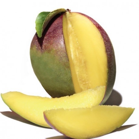 Eliquide Goût Mangue, Alfaliquid