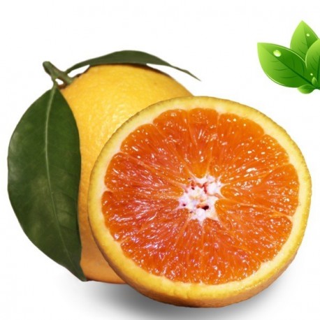 Eliquide Goût Orange sanguine, Alfaliquid