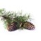 Eliquide Saveur Sapin, Alfaliquid